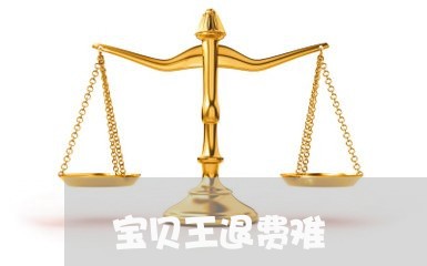 宝贝王退费难/2023041538381