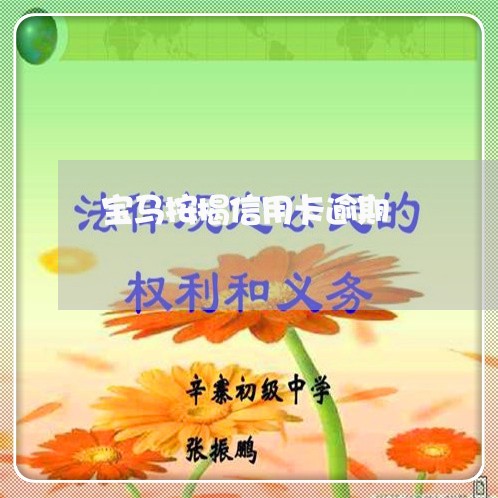 宝马按揭信用卡逾期/2023111905036