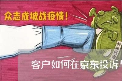 客户如何在京东投诉与举报/2023040116959