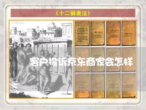 客户投诉京东商家会怎样/2023030240482