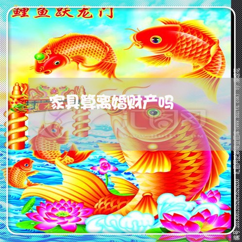 家具算离婚财产吗/2023093094816