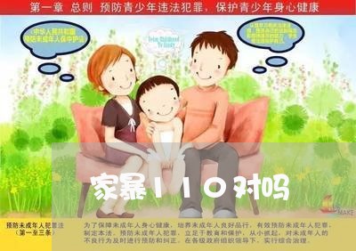 家暴110对吗/2023121305929