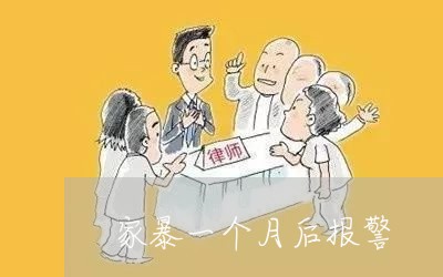 家暴一个月后报警/2023101530585