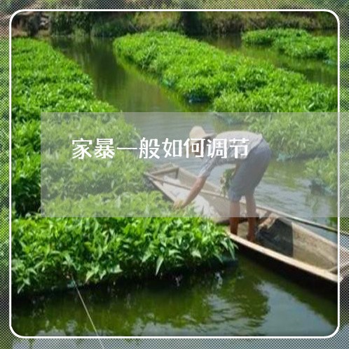 家暴一般如何调节/2023101630481