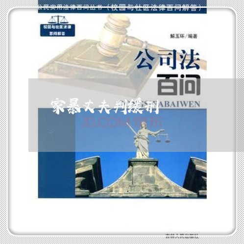 家暴丈夫判缓刑/2023121865941