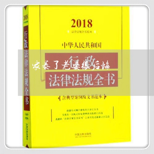 家暴了老婆很后悔/2023101336178