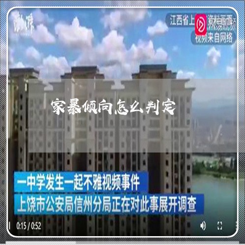 家暴倾向怎么判定/2023100314157