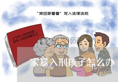 家暴入刑孩子怎么办/2023110825351