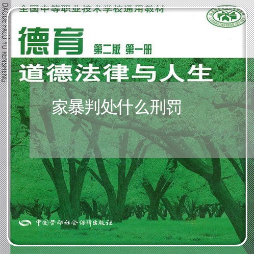 家暴判处什么刑罚/2023100227269