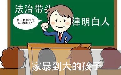 家暴到大的孩子/2023090829371