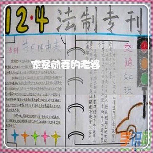 家暴前妻的老婆/2023091418584