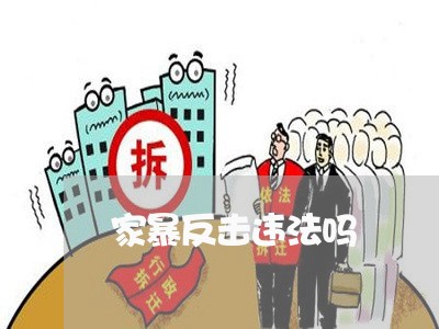 家暴反击违法吗/2023090581492