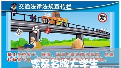 家暴名牌大学生/2023090940493