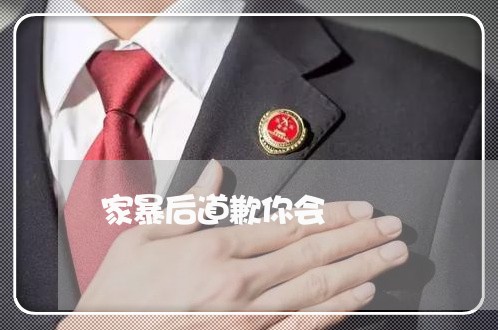 家暴后道歉你会/2023090738261