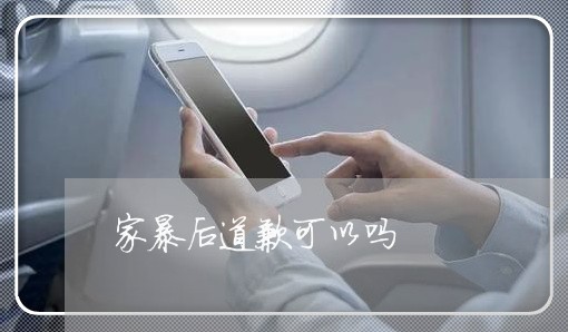 家暴后道歉可以吗/2023101598069