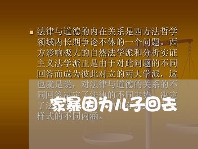 家暴因为儿子回去/2023101628149