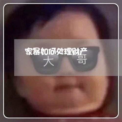 家暴如何处理财产/2023100240471