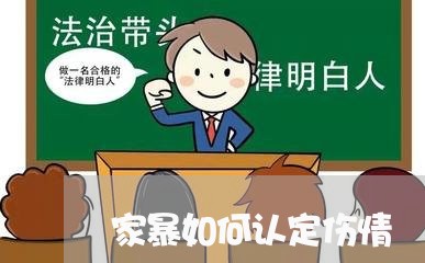 家暴如何认定伤情/2023100826267