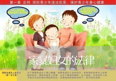 家暴妇女的法律/2023090586271