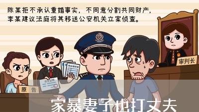 家暴妻子也打丈夫/2023100883848