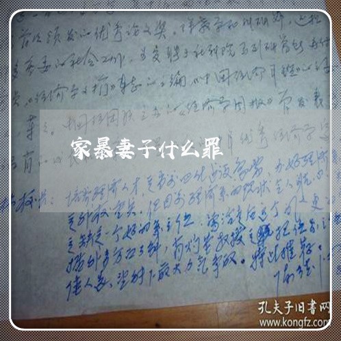 家暴妻子什么罪/2023091150271