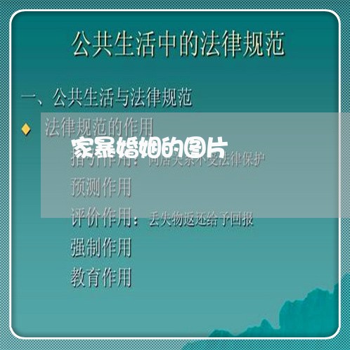 家暴婚姻的图片/2023090629171