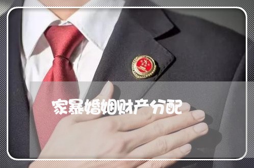 家暴婚姻财产分配/2023100388472