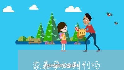 家暴孕妇判刑吗/2023121885807