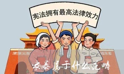 家暴属于什么范畴/2023101561404