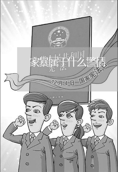 家暴属于什么警情/2023100889492