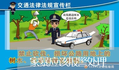 家暴应该报警处理/2023092372704