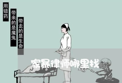 家暴律师哪里找/2023122023824