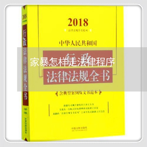 家暴怎样走法律程序/2023110715037