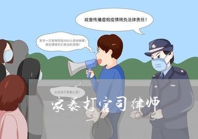 家暴打官司律师/2023122084817