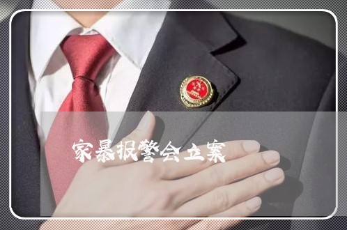 家暴报警会立案/2023091150493