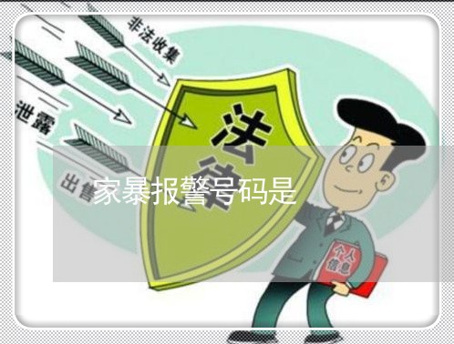 家暴报警号码是/2023122165258