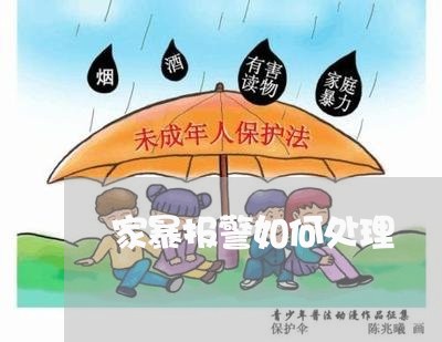 家暴报警如何处理/2023092341616