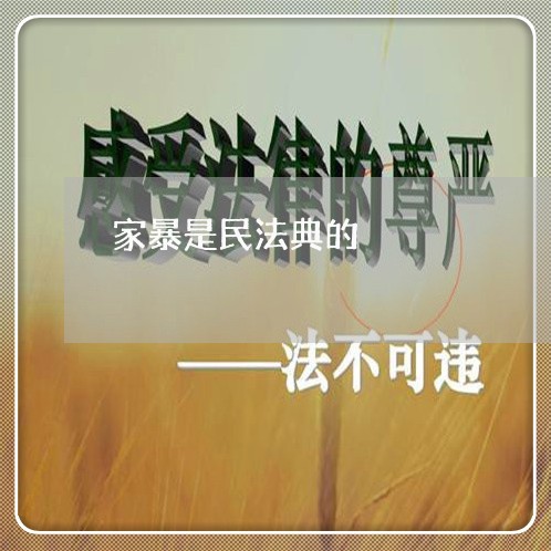 家暴是民法典的/2023091052483