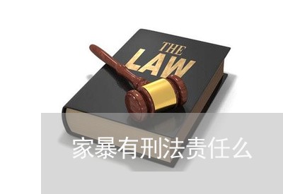 家暴有刑法责任么/2023101239450