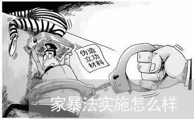 家暴法实施怎么样/2023100570591