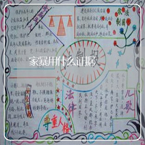 家暴用什么证据/2023121672494