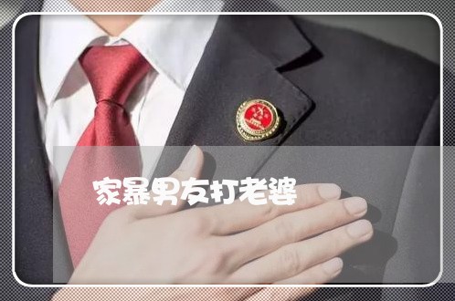 家暴男友打老婆/2023091080682