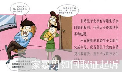 家暴男如何取证起诉/2023110874948