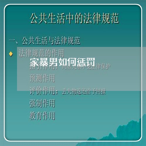 家暴男如何惩罚/2023091135169