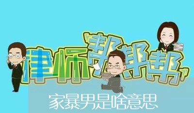 家暴男是啥意思/2023090706279