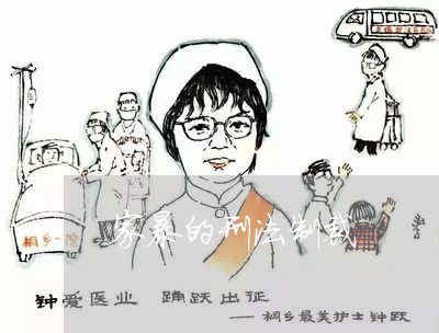 家暴的刑法制裁/2023121962683