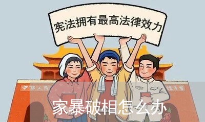 家暴破相怎么办/2023090535057