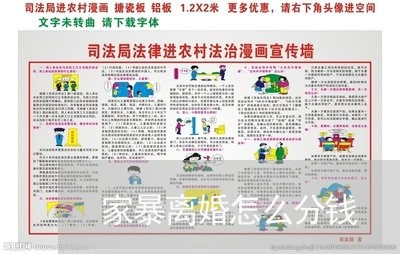 家暴离婚怎么分钱/2024010516260