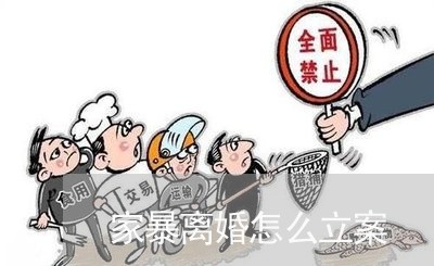 家暴离婚怎么立案/2024010561714