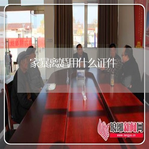 家暴离婚用什么证件/2023110483928